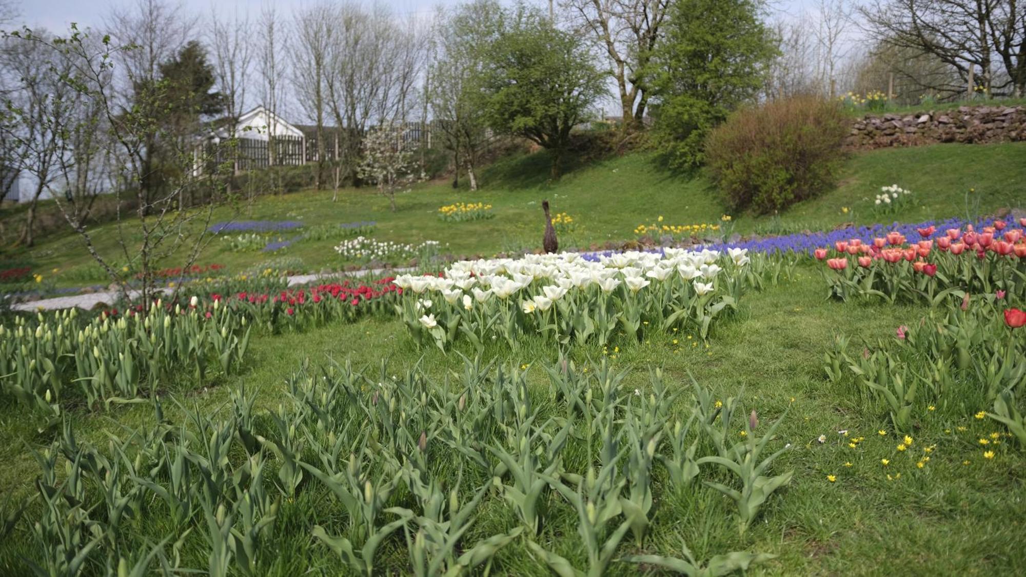 Rowrah Hall Arlecdon المظهر الخارجي الصورة